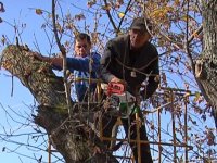 Леонид Пасечник и Манолис Пилавов в ходе общегородского субботника высадили саженцы рябины в столичном парке Горького