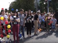 Зоодефиле «4 лапы» в рамках празднования Дня города