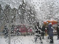 Синоптики прогнозируют усиление ветра и мокрый снег 12 февраля
