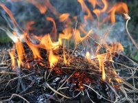 Чрезвычайная пожарная опасность сохранится 3-7 июля