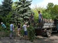 Администрация города и коллектив ЛНАУ провели субботник в столичном дендропарке