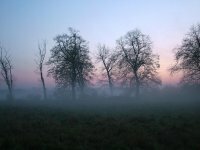 Синоптики прогнозируют туман в городе 30 ноября и 1 декабря