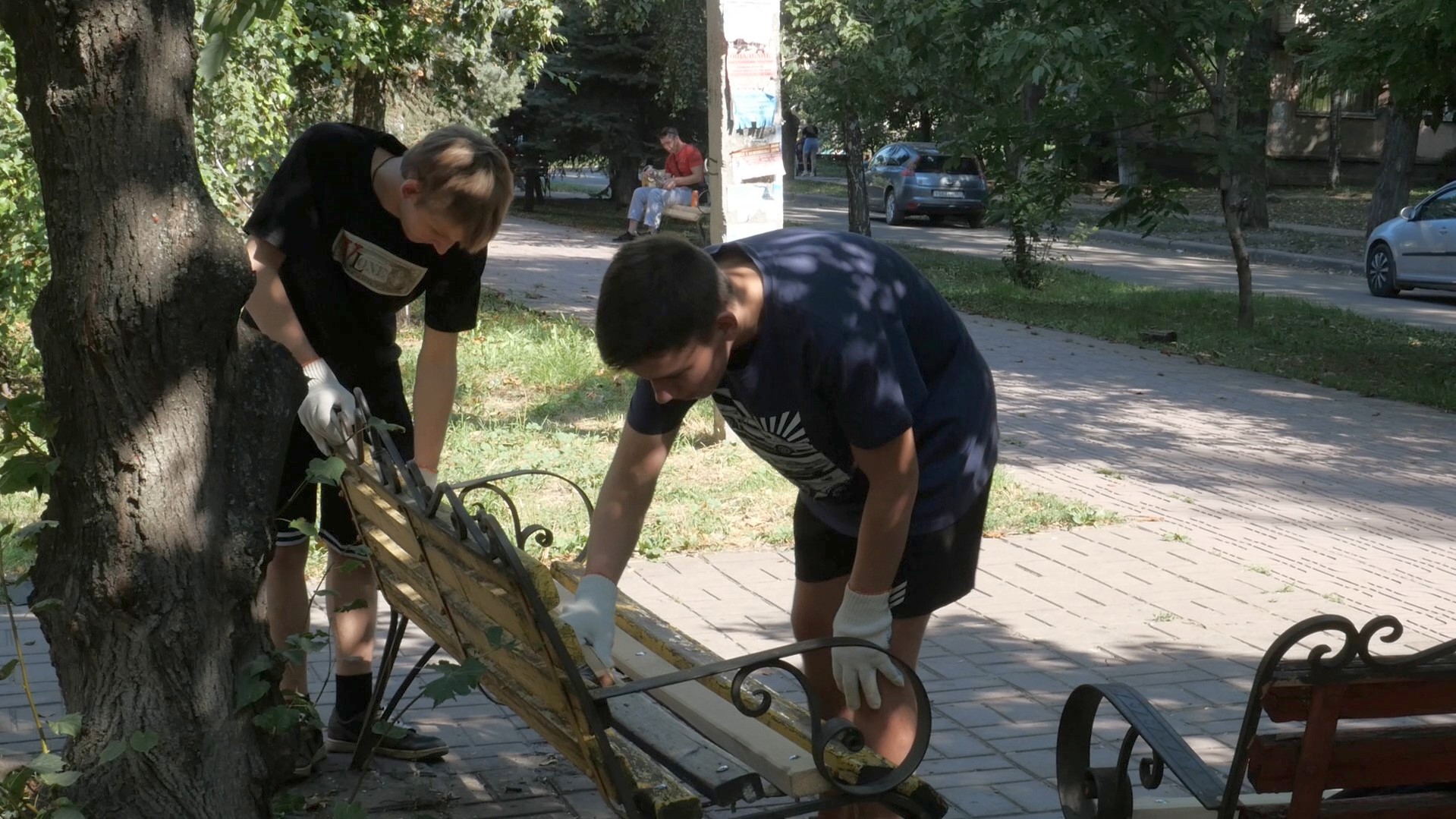 Юные луганчане и активисты ЕР благоустроили аллею в поселке Юбилейное  (видео) » Администрация города Луганска - Луганской Народной Республики